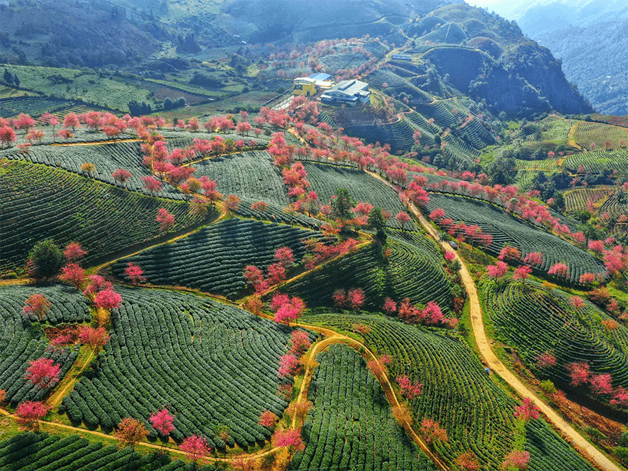 Kinh Nghiệm Du Lịch Vùng Cao Miền Bắc Cho Người Đi Lần Đầu